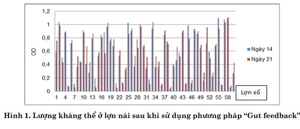 Thanh Hóa: Tỷ lệ mắc PED ở lợn tại Thanh Hoá là 14,56% và tỷ lệ tử vong là 53,38%