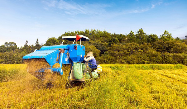 Bayer: Hoàn thành giao dịch mua lại Monsanto