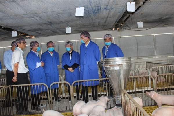 Bộ trưởng Nguyễn Xuân Cường: Gia Lai cần phát huy tiềm năng chăn nuôi đại gia súc