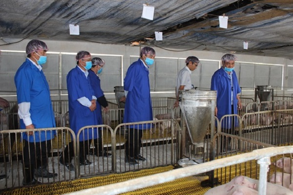 Bộ trưởng Nguyễn Xuân Cường: Gia Lai cần phát huy tiềm năng chăn nuôi đại gia súc