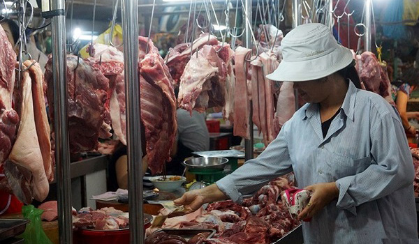 Lợn hơi xuống dưới 50.000 đồng/kg, giá thịt tại các chợ vẫn cao