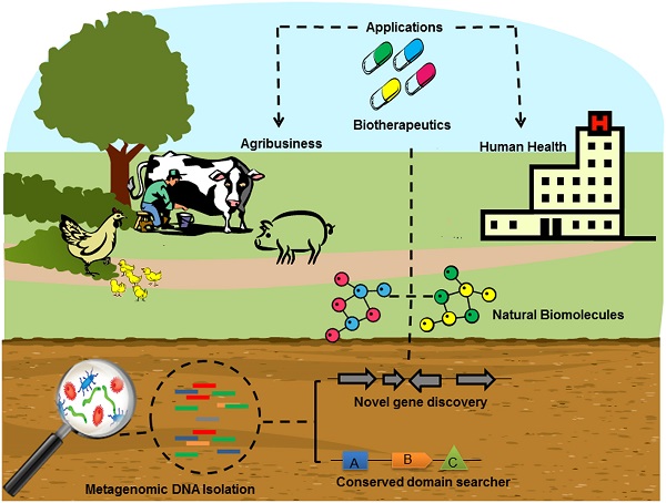 Đánh giá rủi ro môi trường mới của việc sử dụng kháng sinh trong chăn nuôi