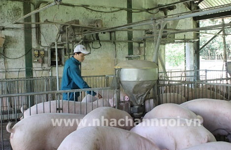Hiệp hội Chăn nuôi Đồng Nai đề xuất mở điểm bán thịt 