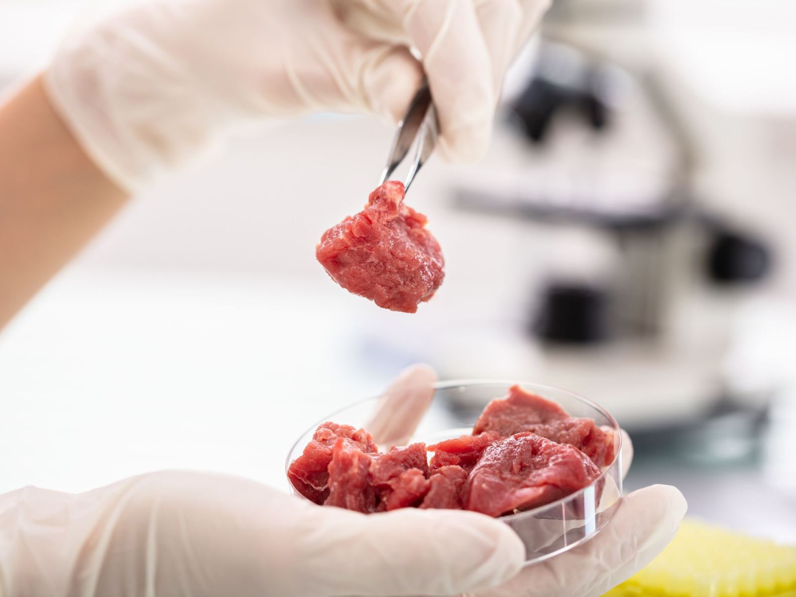 Singapore chính thức cấp phép bán 'thịt nuôi cấy’ trong phòng thí nghiệm