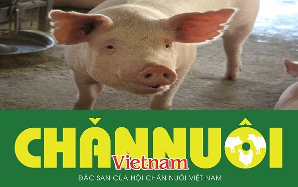 Thông báo: Thay đổi măngset Tạp chí Chăn nuôi Việt Nam