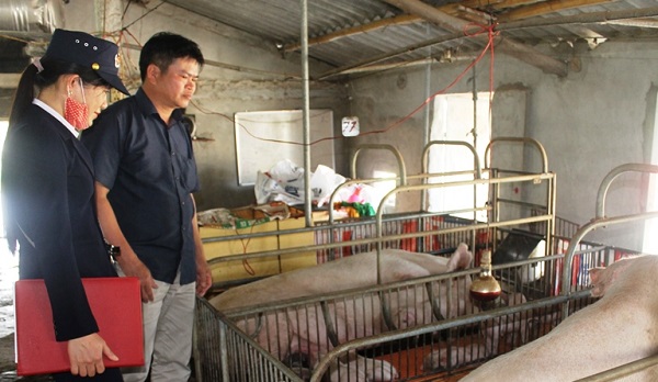 Quảng Bình: Đẩy mạnh xây dựng cơ sở an toàn dịch bệnh trong chăn nuôi