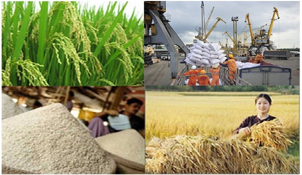 Sửa một số quy định về điều kiện đầu tư, kinh doanh lĩnh vực nông nghiệp