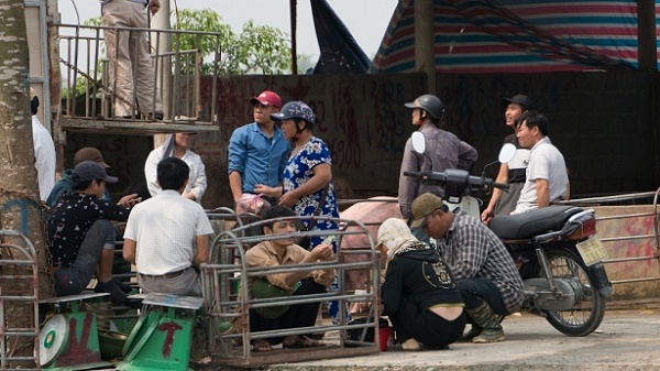 Thủ phủ thịt lợn Hà Nam lượng giao dịch mỗi ngày giảm còn 1/3