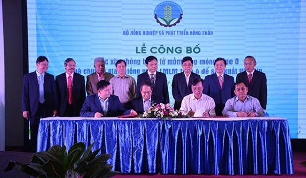 Việt Nam sản xuất thành công vắc-xin lở mồm long móng