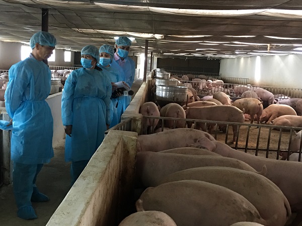 Giải pháp phòng chống dịch bệnh  gia súc gia cầm năm 2022 tại Hà Nội