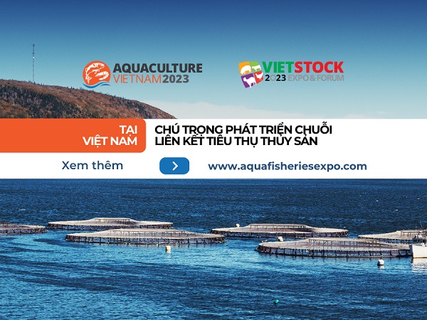 Chú trọng phát triển chuỗi liên kết tiêu thụ thủy sản tại Việt Nam