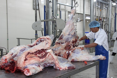 Tiêu chuẩn quốc gia về thịt trâu, bò mát