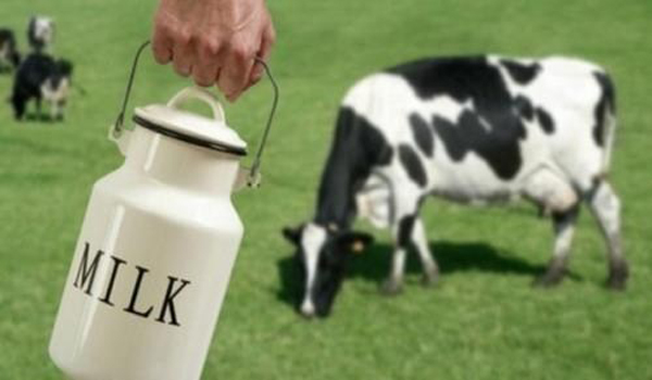 Rabobank: Giá sữa sẽ được giữ ổn định trong năm nay