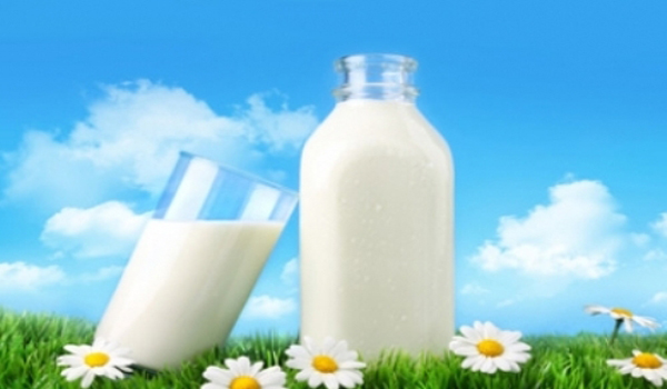 Hai tháng đầu 2017 nhập khẩu sữa và sản phẩm giảm kim ngạch