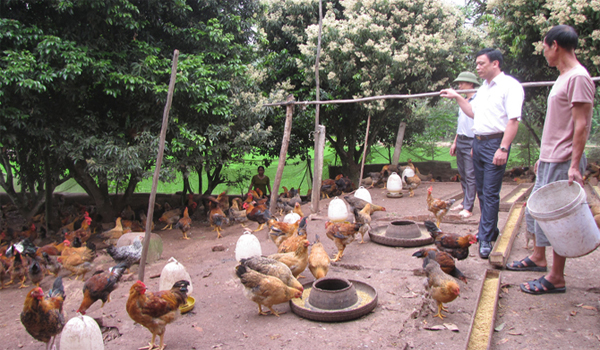 Hội chăn nuôi – thú y tỉnh Bắc Giang: Vững vàng tiến bước