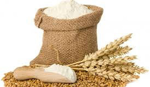 Thị trường NL TĂCN thế giới ngày 21/4: Giá lúa mì chạm mức thấp nhất 4 tháng