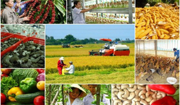 15 tiêu chí giám sát, đánh giá về cơ cấu lại ngành nông nghiệp