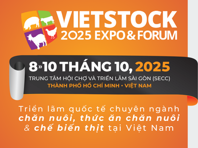 vietstock