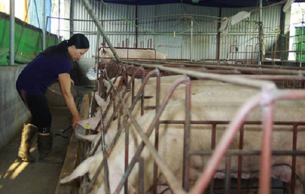 Bắc Ninh: Gần 48 tỷ đồng Quỹ hỗ trợ nông dân