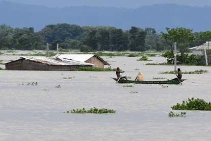 Hội Chăn nuôi Việt Nam: Ủng hộ các tỉnh Hội khu vực miền Trung bị ảnh hưởng của lũ lụt