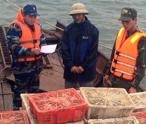 Quảng Ninh: Vận chuyển gần 3.000 con chim bồ câu nhập lậu