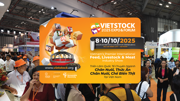 Khai phá tiềm năng thương hiệu: Kết nối, hợp tác và phát triển cùng Vietstock 