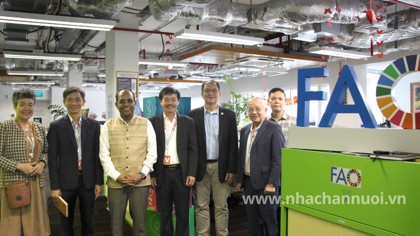 Hội Chăn nuôi Việt Nam và FAO: Tăng cường kết nối và hợp tác trước thềm Hội nghị AAAP 2026