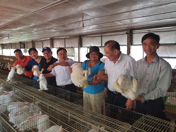 Hội Chăn nuôi Việt Nam thăm và làm việc với Hội Chăn nuôi thỏ Việt Nam 