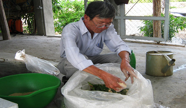 Thức ăn cho bò đắt hàng